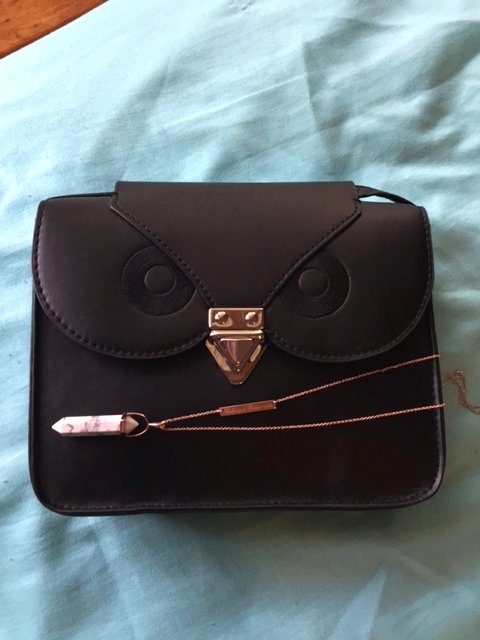Owl face handbag with Samantha Wills necklace | Extraordinary Days